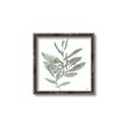 Picture of Leafy Look I _GroupedProduct_Square_Canvas_Framed_