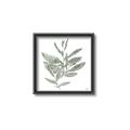 Picture of Leafy Look I _GroupedProduct_Square_Canvas_Framed_