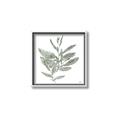 Picture of Leafy Look I _GroupedProduct_Square_Canvas_Framed_