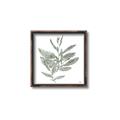 Picture of Leafy Look I _GroupedProduct_Square_Canvas_Framed_