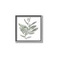 Picture of Leafy Look I _GroupedProduct_Square_Canvas_Framed_