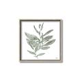 Picture of Leafy Look I _GroupedProduct_Square_Canvas_Framed_