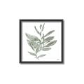 Picture of Leafy Look I _GroupedProduct_Square_Canvas_Framed_