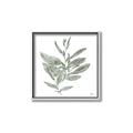 Picture of Leafy Look I _GroupedProduct_Square_Canvas_Framed_