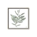 Picture of Leafy Look I _GroupedProduct_Square_Canvas_Framed_
