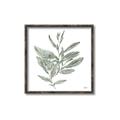 Picture of Leafy Look I _GroupedProduct_Square_Canvas_Framed_