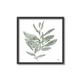 Picture of Leafy Look I _GroupedProduct_Square_Canvas_Framed_