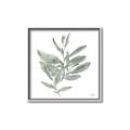 Picture of Leafy Look I _GroupedProduct_Square_Canvas_Framed_