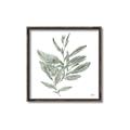 Picture of Leafy Look I _GroupedProduct_Square_Canvas_Framed_