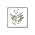 Picture of Leafy Look I _GroupedProduct_Square_Canvas_Framed_