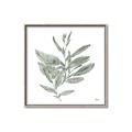 Picture of Leafy Look I _GroupedProduct_Square_Canvas_Framed_