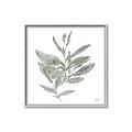 Picture of Leafy Look I _GroupedProduct_Square_Canvas_Framed_