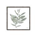 Picture of Leafy Look I _GroupedProduct_Square_Canvas_Framed_