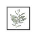 Picture of Leafy Look I _GroupedProduct_Square_Canvas_Framed_