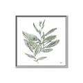 Picture of Leafy Look I _GroupedProduct_Square_Canvas_Framed_