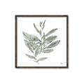 Picture of Leafy Look I _GroupedProduct_Square_Canvas_Framed_