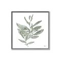 Picture of Leafy Look I _GroupedProduct_Square_Canvas_Framed_