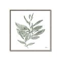 Picture of Leafy Look I _GroupedProduct_Square_Canvas_Framed_