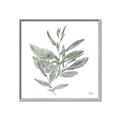 Picture of Leafy Look I _GroupedProduct_Square_Canvas_Framed_