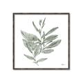 Picture of Leafy Look I _GroupedProduct_Square_Canvas_Framed_