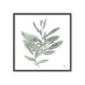 Picture of Leafy Look I _GroupedProduct_Square_Canvas_Framed_