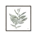 Picture of Leafy Look I _GroupedProduct_Square_Canvas_Framed_