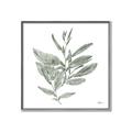 Picture of Leafy Look I _GroupedProduct_Square_Canvas_Framed_
