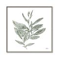 Picture of Leafy Look I _GroupedProduct_Square_Canvas_Framed_