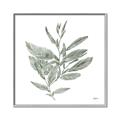 Picture of Leafy Look I _GroupedProduct_Square_Canvas_Framed_
