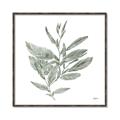 Picture of Leafy Look I _GroupedProduct_Square_Canvas_Framed_