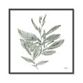 Picture of Leafy Look I _GroupedProduct_Square_Canvas_Framed_