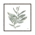 Picture of Leafy Look I _GroupedProduct_Square_Canvas_Framed_