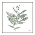 Picture of Leafy Look I _GroupedProduct_Square_Canvas_Framed_