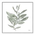 Picture of Leafy Look I _GroupedProduct_Square_Canvas_Framed_