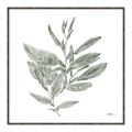 Picture of Leafy Look I _GroupedProduct_Square_Canvas_Framed_