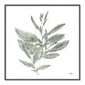 Picture of Leafy Look I _GroupedProduct_Square_Canvas_Framed_