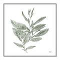 Picture of Leafy Look I _GroupedProduct_Square_Canvas_Framed_
