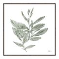 Picture of Leafy Look I _GroupedProduct_Square_Canvas_Framed_