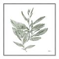 Picture of Leafy Look I _GroupedProduct_Square_Canvas_Framed_
