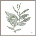 Picture of Leafy Look I _GroupedProduct_Square_Canvas_Framed_