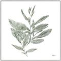 Picture of Leafy Look I _GroupedProduct_Square_Canvas_Framed_