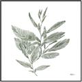 Picture of Leafy Look I _GroupedProduct_Square_Canvas_Framed_