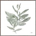 Picture of Leafy Look I _GroupedProduct_Square_Canvas_Framed_