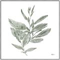 Picture of Leafy Look I _GroupedProduct_Square_Canvas_Framed_