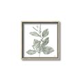 Picture of Leafy Look II _GroupedProduct_Square_Canvas_Framed_
