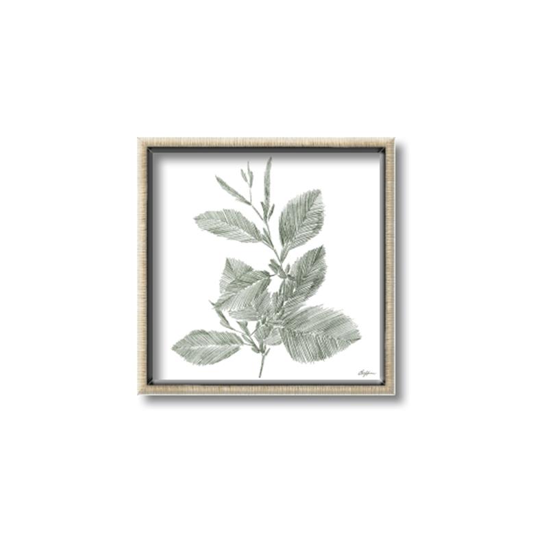 Picture of Leafy Look II _GroupedProduct_Square_Canvas_Framed_