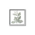 Picture of Leafy Look II _GroupedProduct_Square_Canvas_Framed_