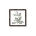 Picture of Leafy Look II _GroupedProduct_Square_Canvas_Framed_