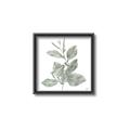 Picture of Leafy Look II _GroupedProduct_Square_Canvas_Framed_