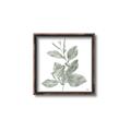 Picture of Leafy Look II _GroupedProduct_Square_Canvas_Framed_